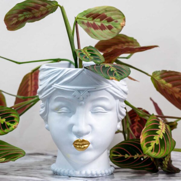 NIEUW- Bloempot dameshoofd Queen